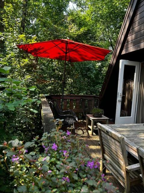 Chalet Woods Durbuy Eksteriør bilde